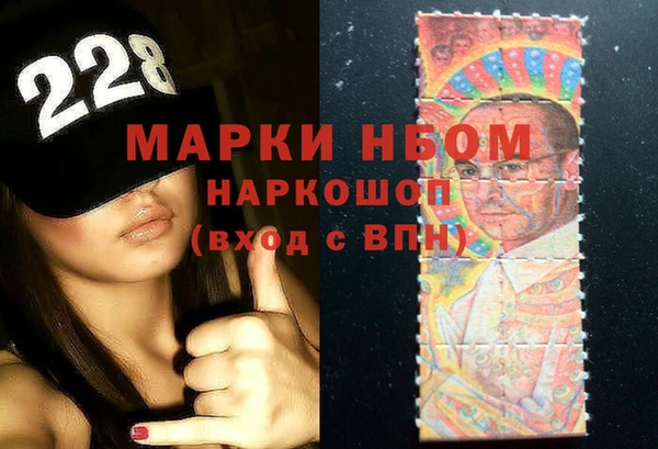 шишки Аркадак