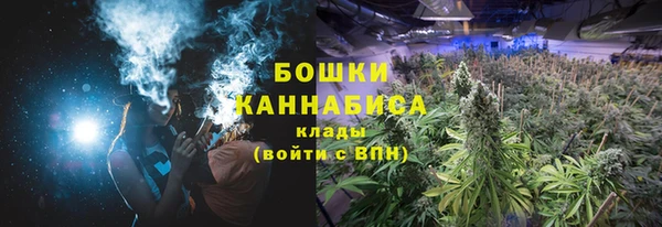 шишки Аркадак