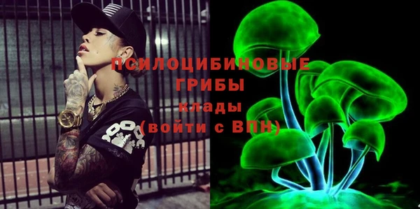 шишки Аркадак