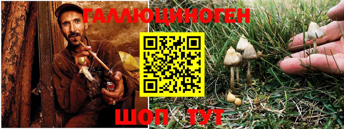 Кировск  сколько стоит  Вход с VPN  Псилоцибиновые грибы MAGIC MUSHROOMS 